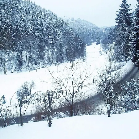 Ferienwohnungen In Winterberg Zewnętrze zdjęcie